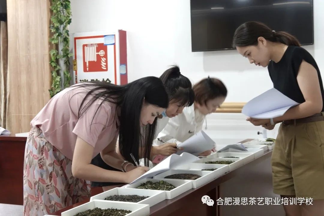 高级评茶员